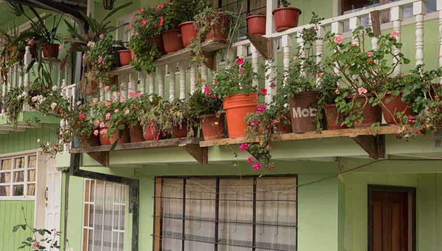 Excursión a Baeza y Puerto Misahuallí