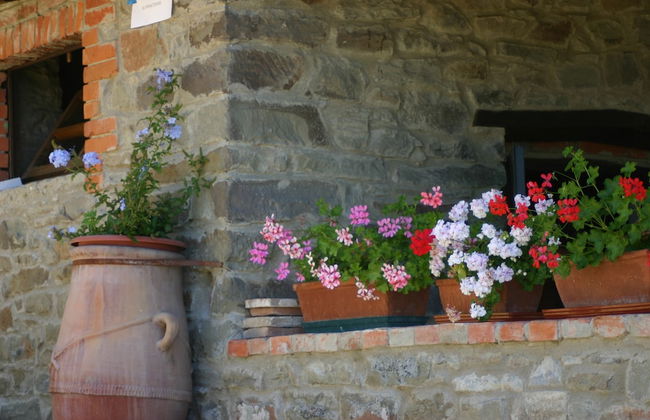 Agriturismo La Casina della Burraia - Photo 62