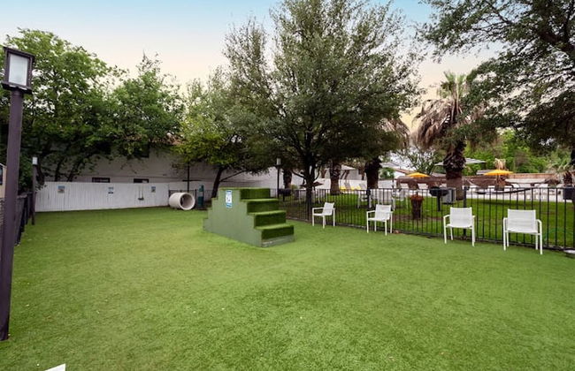 Soco 2BR Comfy Suite w Pool King bed Fast Wifi - Photo 6