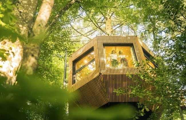 Domaine des Étoiles - Photo 34