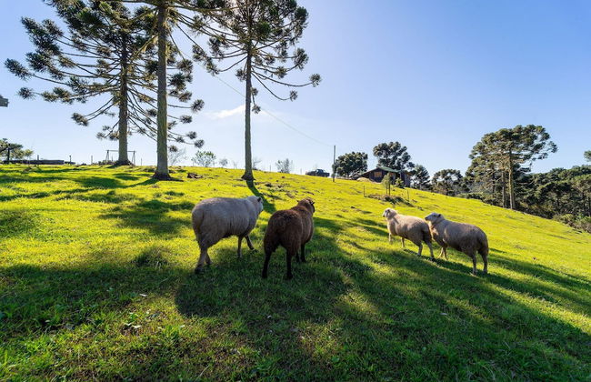 Sítio Mar de Nuvens Chalés de Luxo - Photo 74