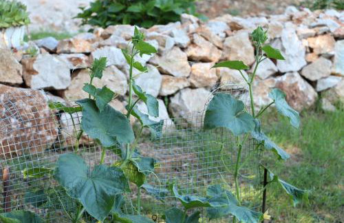 Studio apartment Lila - Foto 28