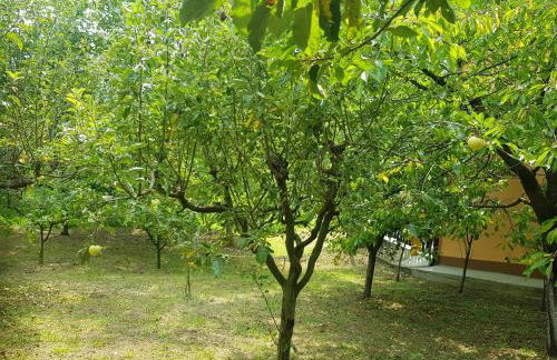 Apartman 2 - Foto 38