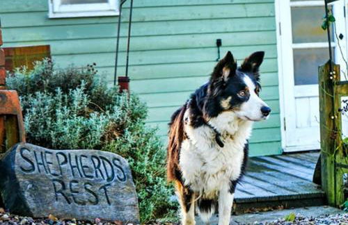 Finest Retreats Shepherds Rest at Morrells Wood - Foto 6