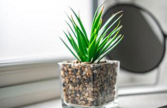 Caledonia Apartment - Photo 18