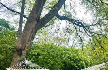 East Nashville Retreat, Outdoor Oasis, Sleeps 12, Four Bedrooms - Foto 8