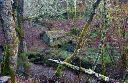 Casa Berdeal - Foto 43