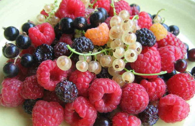 Agriturismo da Ysy - Foto 26