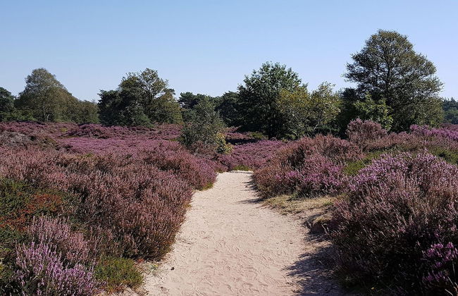 Beautiful Holiday Home Near Horse Farm - Foto 18