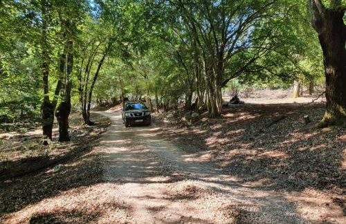 Stone House Rosuja - Foto 54