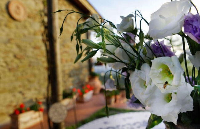 Agriturismo Podere Picciolo - Foto 43