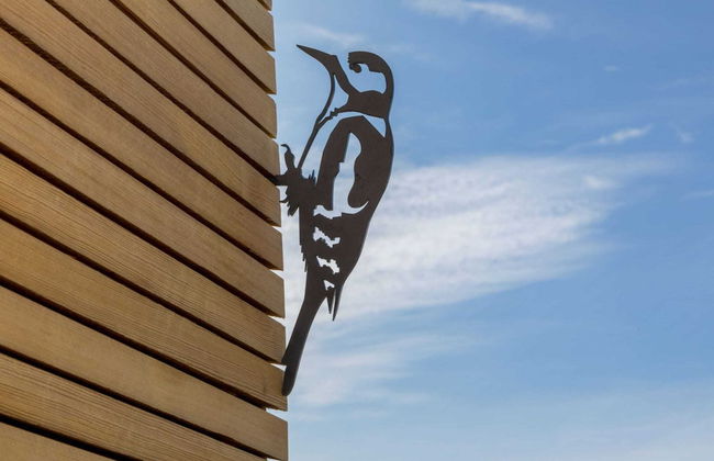 Tiny House in Zeeland Near Oranjezon Dunes - Photo 20