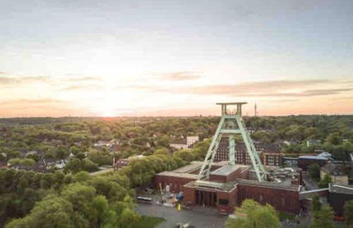 Suburban Jungle - Foto 64