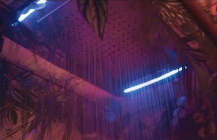 Spa-Sauna-Ciel de pluie tropicale-Champagne Nuit Romantique - Escapade Mâconnaise - Foto 33