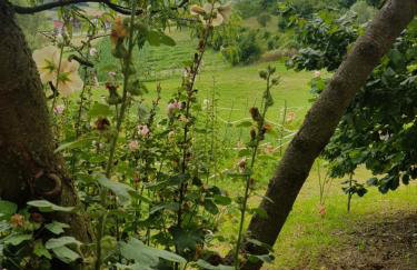 Apartman 2 - Foto 31