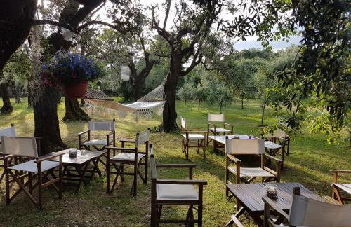 Antico Uliveto - Foto 28