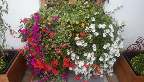 Ferienwohnung Uschi Willibald - Foto 4, Garden