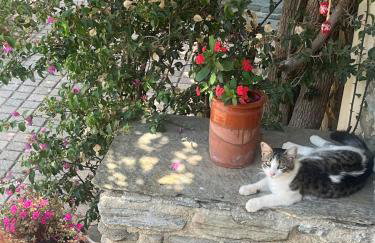 Anastasia Luxury Villas - Photo 67