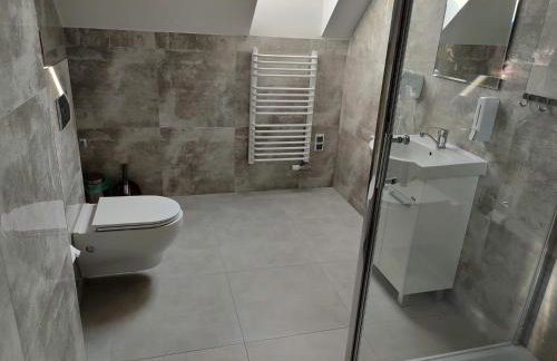 Apartamenty Starosądeckie - Foto 4