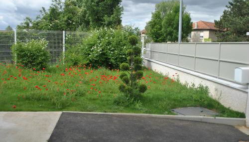 La Marina - Foto 5, Garden view