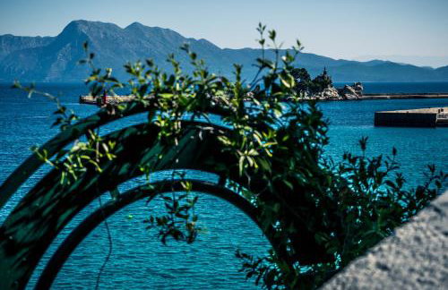 Apartments Maestral - Foto 11