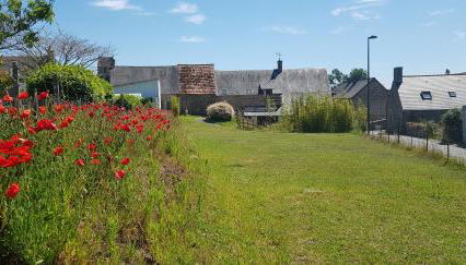 Les 3 mômes - Foto 5