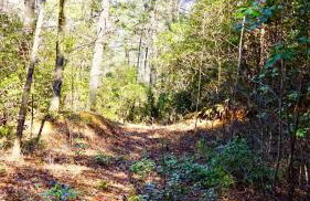 Ridge Retreat at Hearthstone Cabins and Camping - Pet Friendly - Foto 30