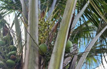 Casa Região Oceânica Niterói - Photo 18