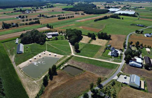 Agroturystyka Pod Brzozami - Foto 16