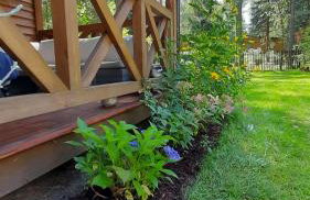 Pasieka Dobro i Smak - Foto 2