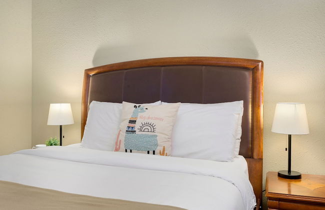 Llama-stay at Spooky Tooth Ranch – Mtn Views!! - Foto 3