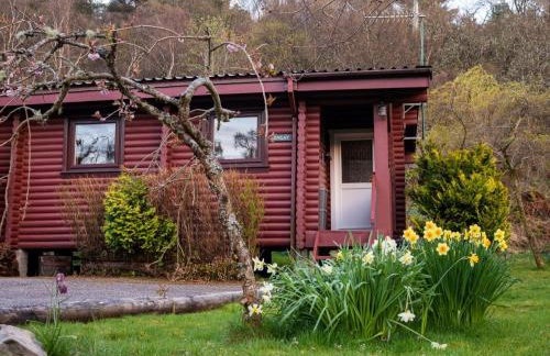 Longay Lodge - Foto 8