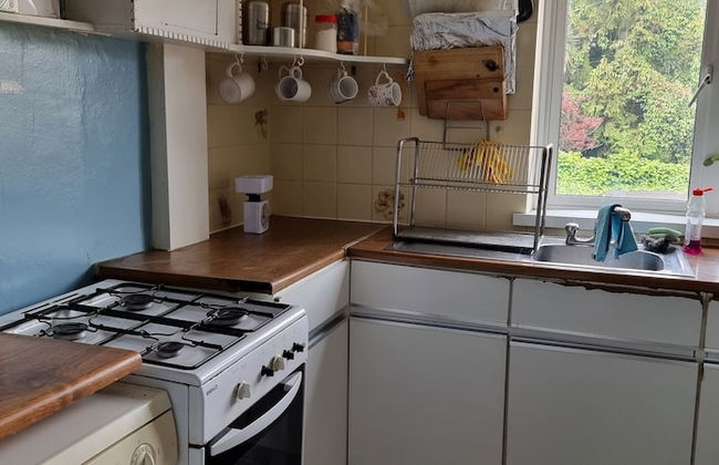 Alexandra Palace 3 Bedrooms Apartment in London - Foto 11