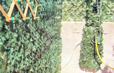 Maryel Sardinia con Giardino - Foto 6