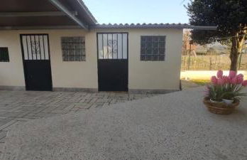 RINCÓN DEL MIÑO - Photo 23