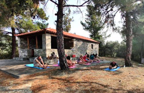 The Yellow Houses - Photo 37