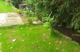 4 Bed-2 Bath-Bar-Pool Table-Library- Xmas venue - Photo 71