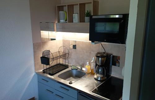 Appartement au Cœur du Col de Rousset - Foto 6