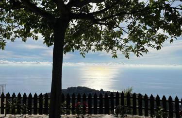 Carmel Villas - Photo 36