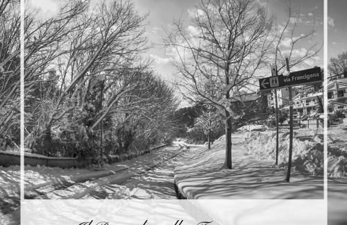 Il Rosciolo Sulla Francigena - Foto 43
