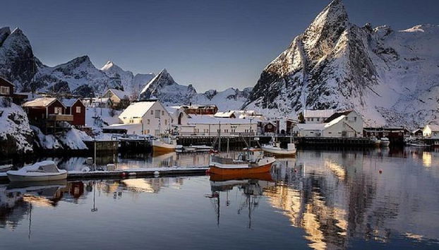 Winter in the North of Lofoten Islands - Half-Day Small Group Tour - Photo 4