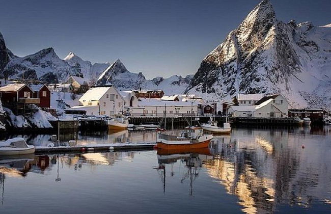 Winter in den Lofoten - Halbtagestour in kleiner Gruppe - Foto 4