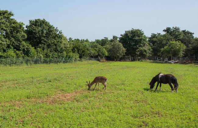 Attractive Holiday Home with Pool, Hot Tub, Patio, Courtyard - Foto 14