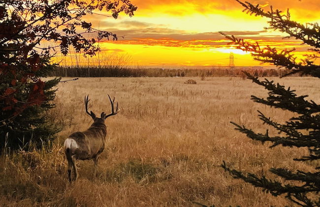 Mountain View 2 Bedroom Condo-Top Floor - Photo 18