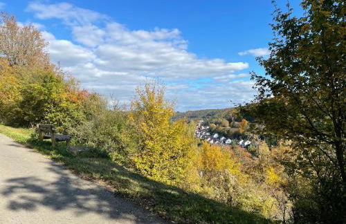 Ferienwohnung Nagoldtalblick - Foto 13