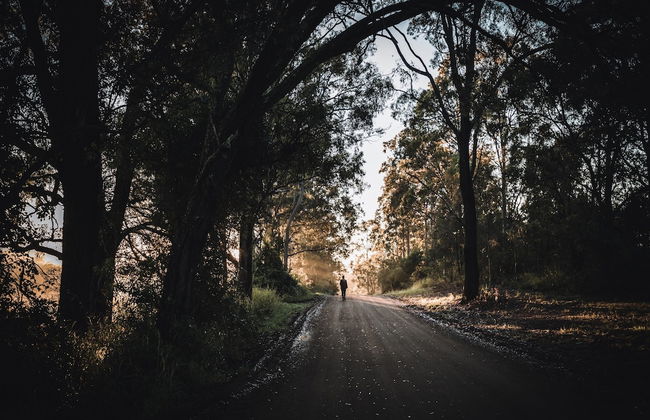 The Vintry - Foto 12