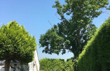 Ferienhaus Norddeichkieker -Nähe Büsum - Foto 29