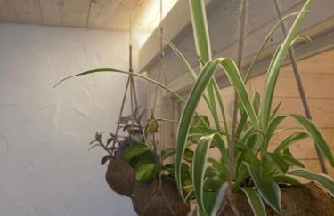 seitzDAHEIM - Foto 35