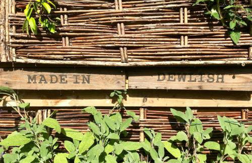 Tree-Tops Treehouse Eco Retreat - Photo 34