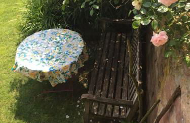 Traumblick Rebenmeer - Foto 24